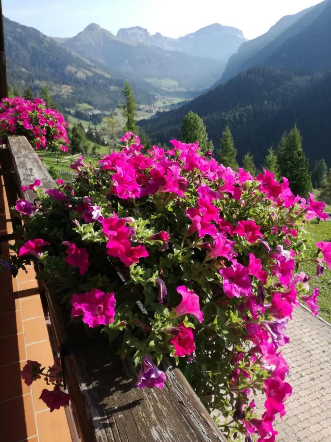 Chalet Relax Pozza di Fassa Εξωτερικό φωτογραφία