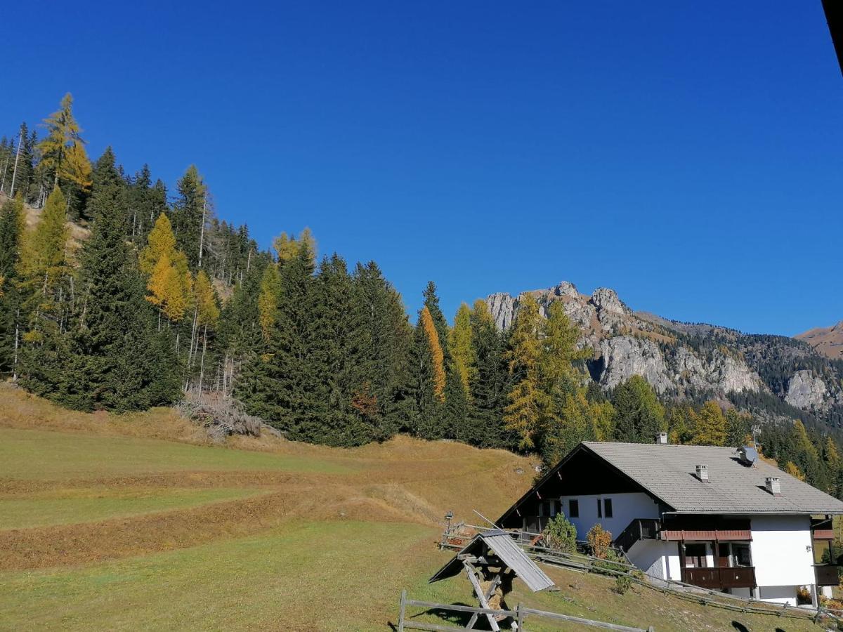 Chalet Relax Pozza di Fassa Εξωτερικό φωτογραφία