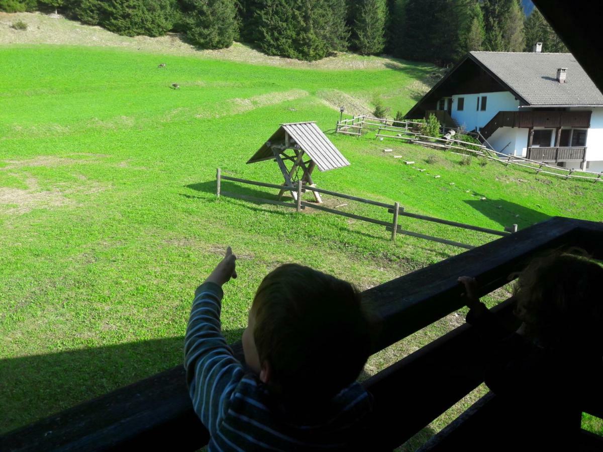 Chalet Relax Pozza di Fassa Εξωτερικό φωτογραφία